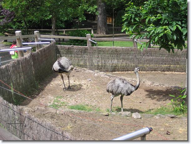 Diapositiva siguiente